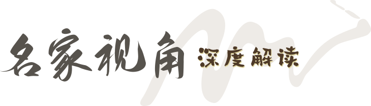 名家视角