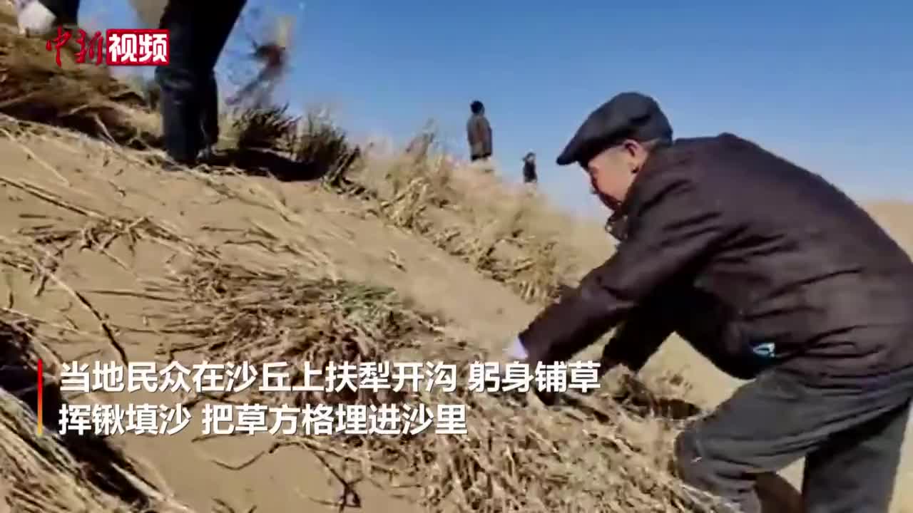 甘肃古浪：以沙压草4100亩 待雨后长出绿树