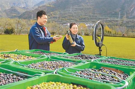 陇南市武都区祥宇油橄榄公司橄榄油直播销售全国各地