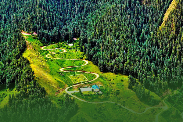 海报|祁连山保护区生态环境问题整改全面完成！