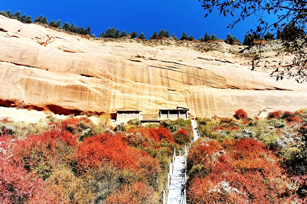 【大美甘肃】秋色晕染马蹄寺