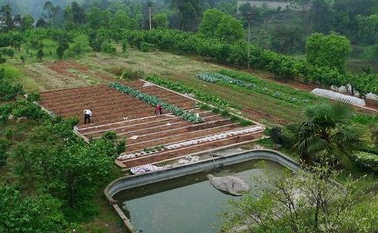 甘肃省加快推动家庭农场数量质量双提升