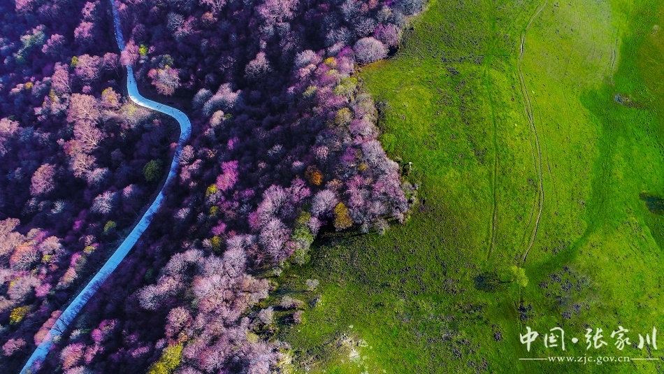 张家川县2019年第四届关山文化旅游节十项活动大全！