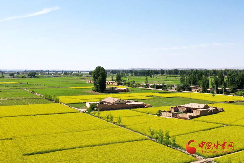 临泽平川镇：美丽乡村催生“美丽经济”