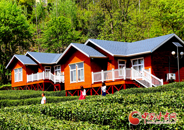 文县：“体验式”民宿 开启茶农增收“新路子”