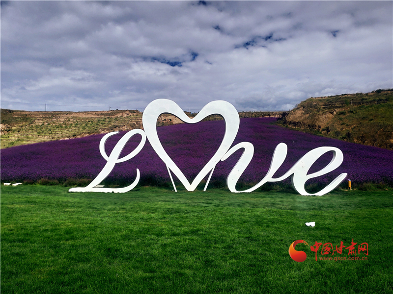 【以村为美】“乡约”榆中品金秋：花田正烂漫 浪街瓜果香