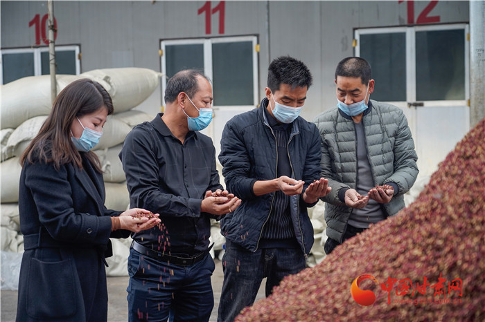 【甘快看·抗疫复工双胜利】 天水秦安开启复工“加速度” 60余吨花椒运往成都