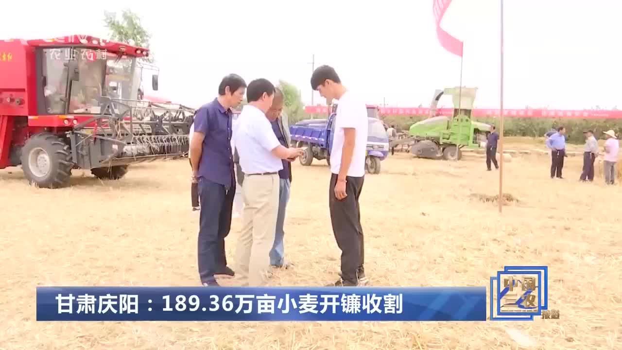 甘肃庆阳：189.36万亩小麦开镰收割
