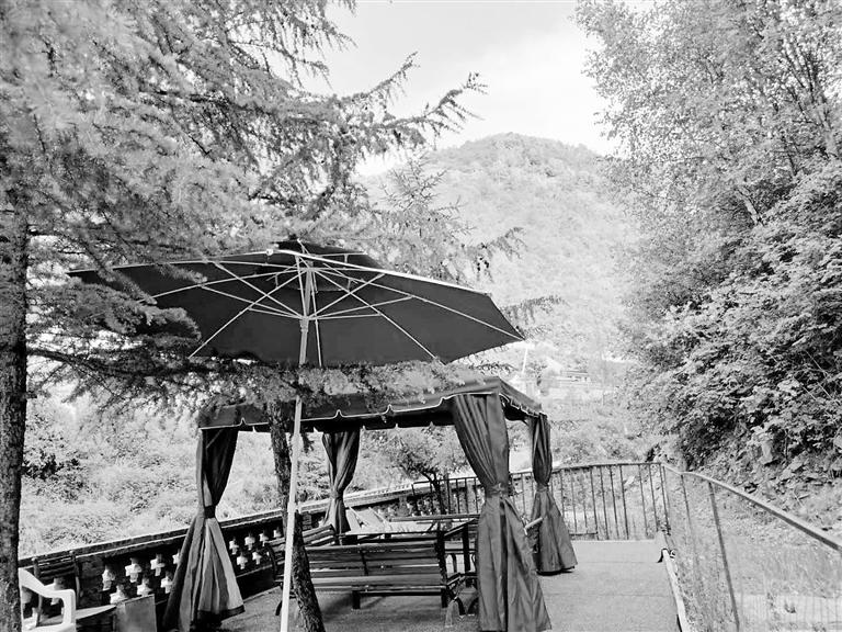 依托石佛沟景区打造“党建+旅游”品牌 阿干镇：做强农家乐 讲好阿干故事