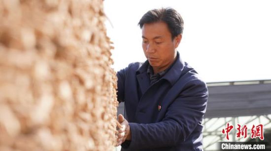 图为陇南市宕昌县药农分拣中药材。(资料图) 魏建军 摄 图为陇南市宕昌县药农分拣中药材。(资料图) 魏建军 摄