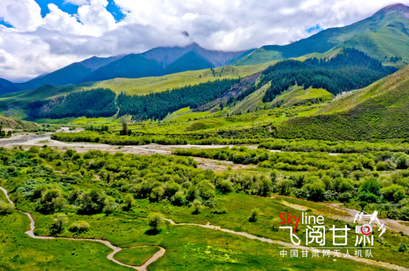 【飞阅甘肃】祁连山国家公园：雨霁初晴 林海如画