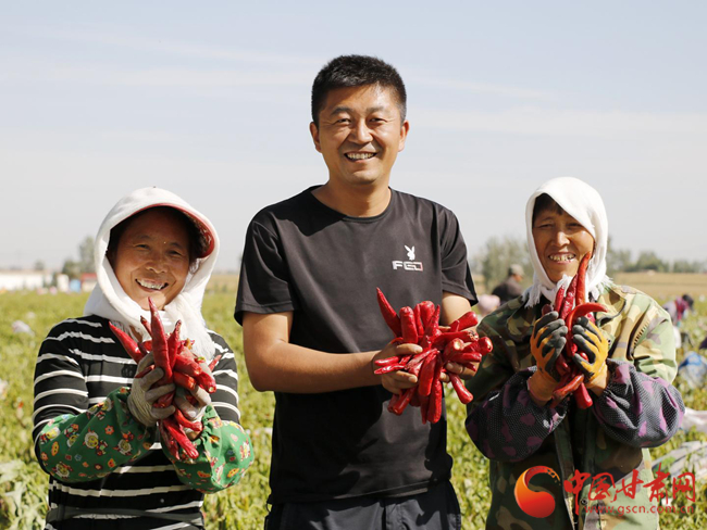 【喜迎党代会 奋进新征程】武威凉州：综合实力稳步提升 县域经济提质增效