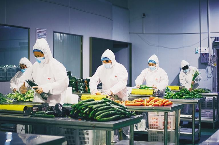 兰州市农业农村局：多举措保障“菜篮子”产品供应