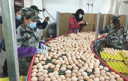 创新产业带贫机制 做活扶贫大文章——陇南礼县产业扶贫工作综述