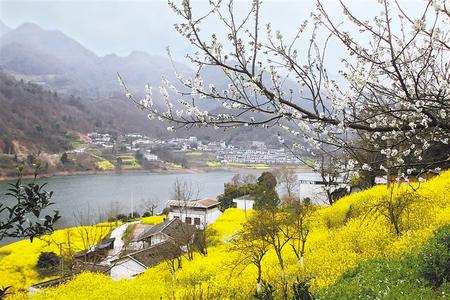 陇南文县范坝镇让水河畔风光旖旎