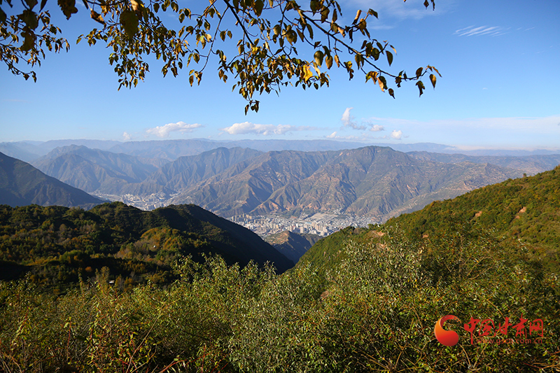 武都：千坝牧场秋色“醉”人 