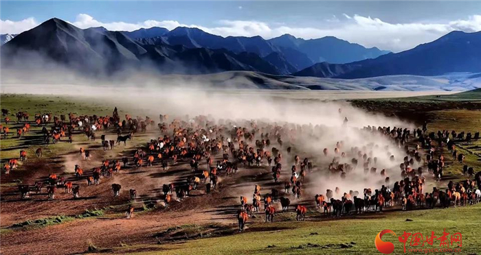 甘肃河西五市冬春文化旅游推介会走进杭州反响热烈