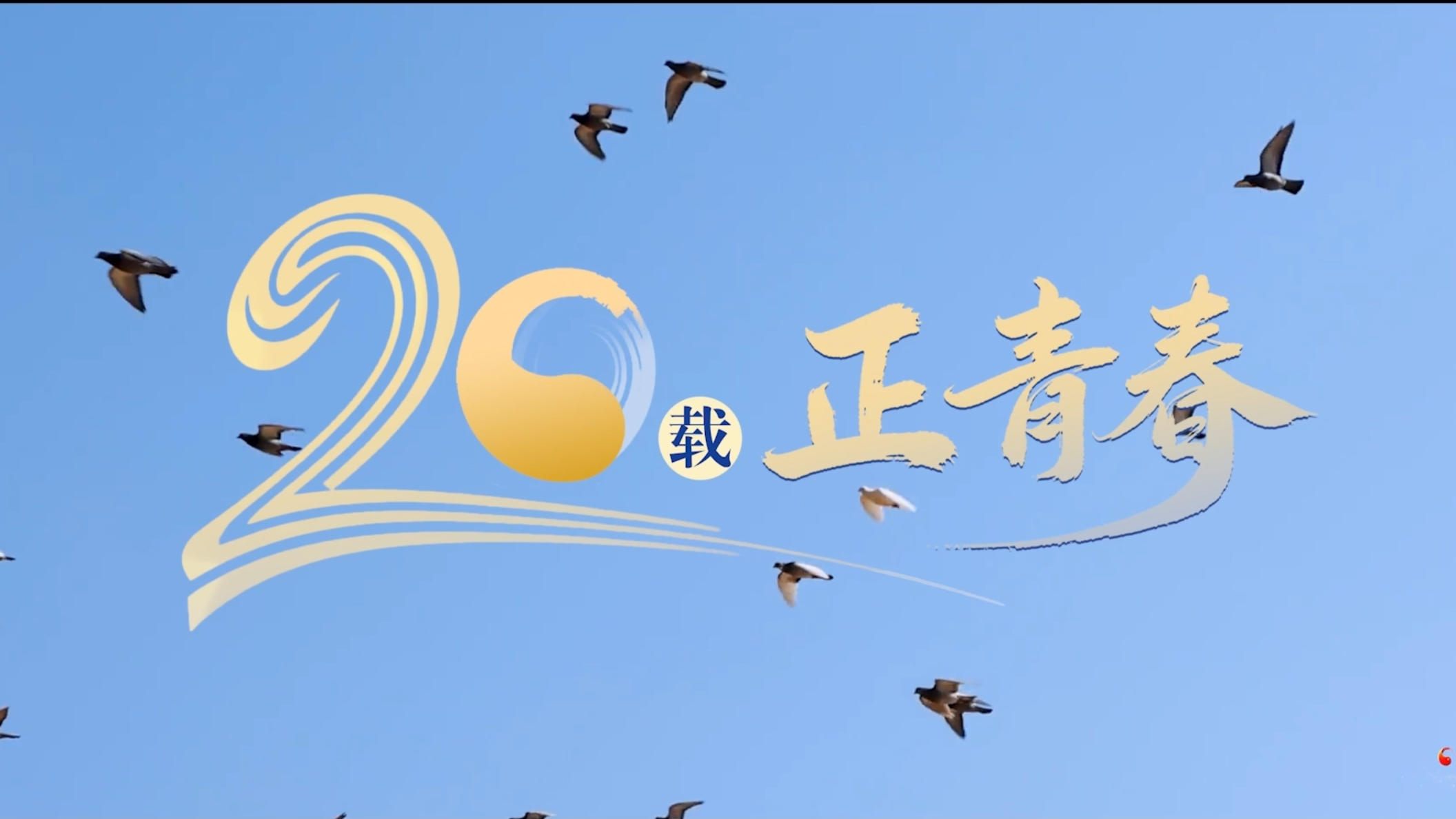 二十载·正青春|视频：廿年风华 一网情深