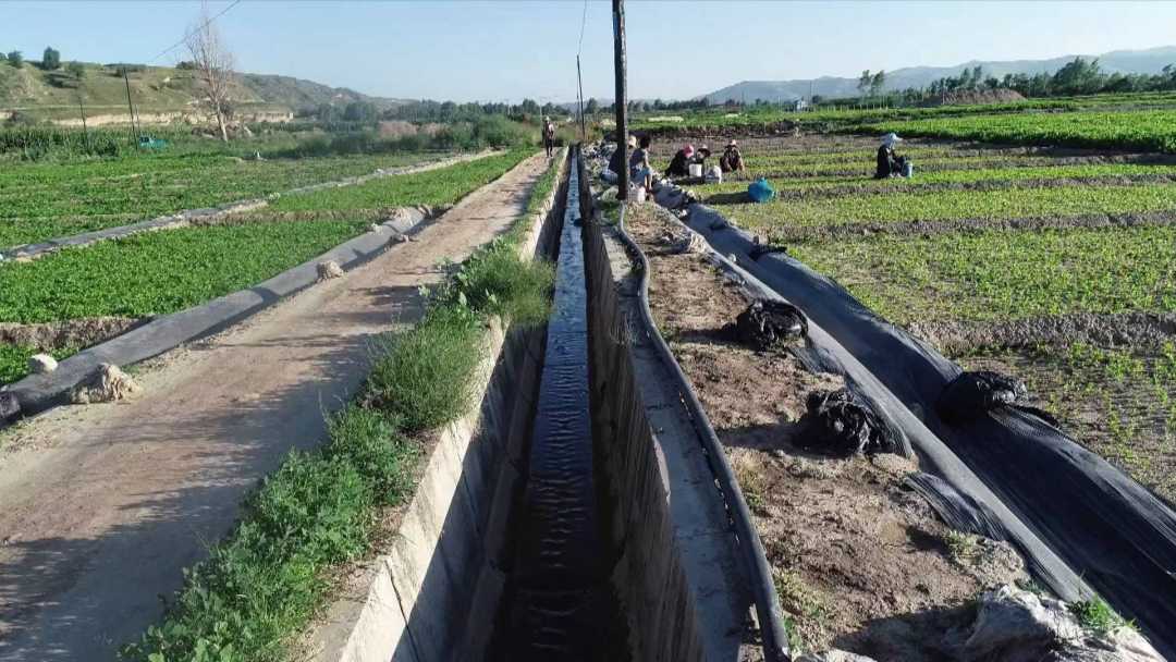 WechatIMG2096.jpeg?x-oss-process=style/w10