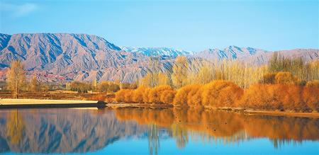 张掖市甘州区黑河流域草滩庄水域水鸟游弋