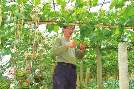 酒泉敦煌市大力发展休闲观光农业