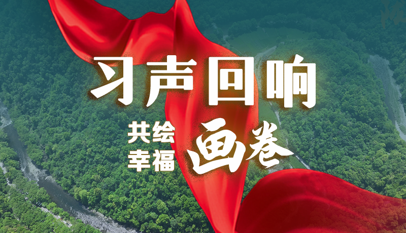 【习声回响·共绘幸福画卷】让“美丽乡村”成为百姓家门口的“诗和远方”