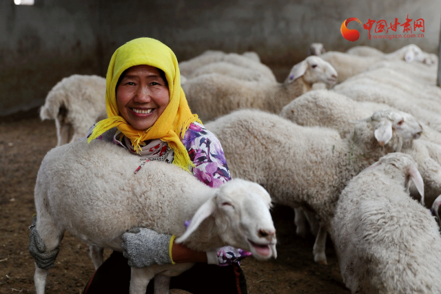 黄花滩镇：“冷资源”发挥“热效益”