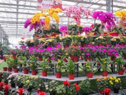 白银以点带面催化农民增收 推“新奇点”留客兴业