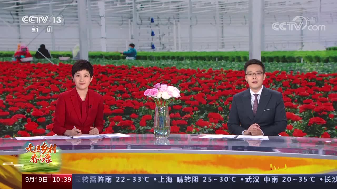 [走进乡村看小康]甘肃兰州玫瑰花铺出幸福路