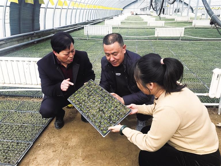 兰州市提早进行物资储备 春季计划播种农作物202.17万亩