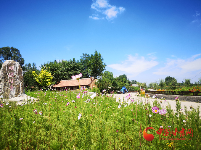 灵台朝那：人居环境大改观 乡村换新颜