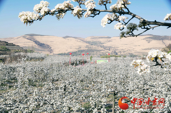 静宁：文旅融合焕生机 打造精品旅游线路