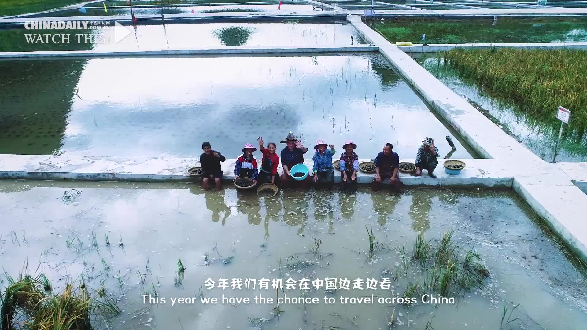 加拿大小哥寻访甘肃艺人 揭开砖雕里的秘密