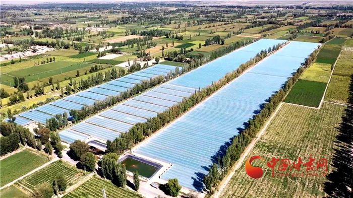 【小康圆梦·看甘肃】酒泉瓜州：高标准农田化零为整 高品质蜜瓜增效增收