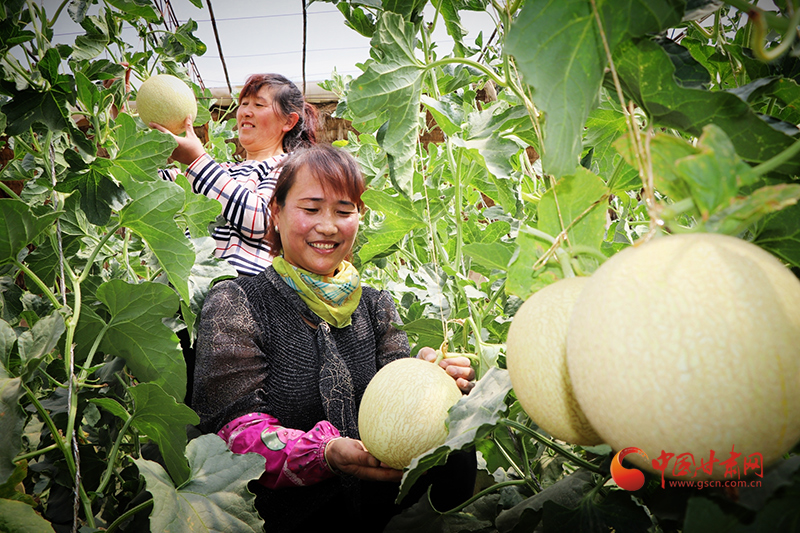 科技特派员工作“民勤模式”的探索与发展