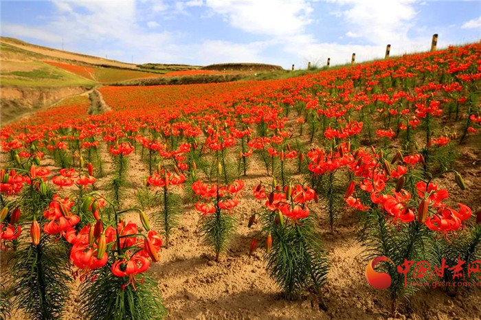 甘肃逾千万元出口货物享惠