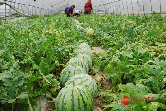 去年甘肃省共查办价格违法案件1081件