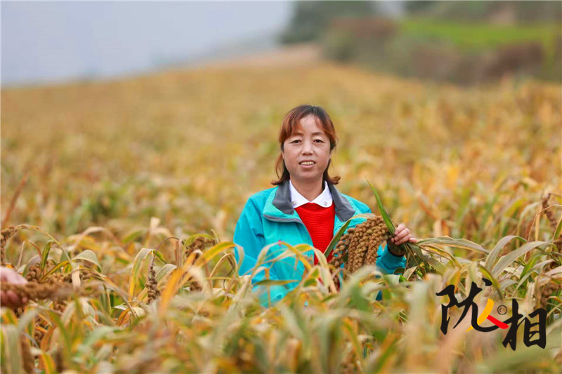 【陇人相214期】人大代表王华：履职心系“土宝贝” 会宁杂粮闯出大市场