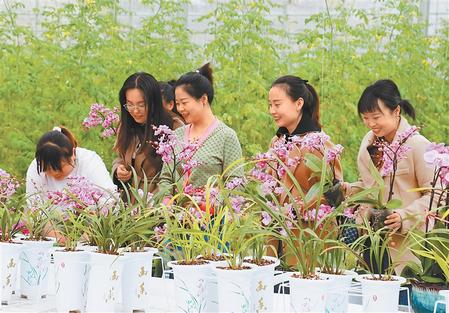 【新春新气象】这里春光正好