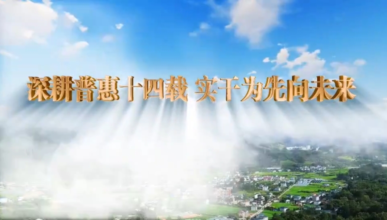 乔栋：深耕普惠十四载 实干为先向未来