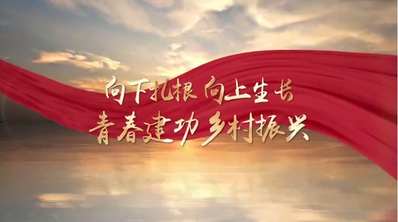 麻国春：向下扎根向上生长 青春建功乡村振兴