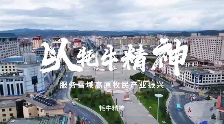 赵磊：以牦牛精神服务雪域高原牧民产业振兴