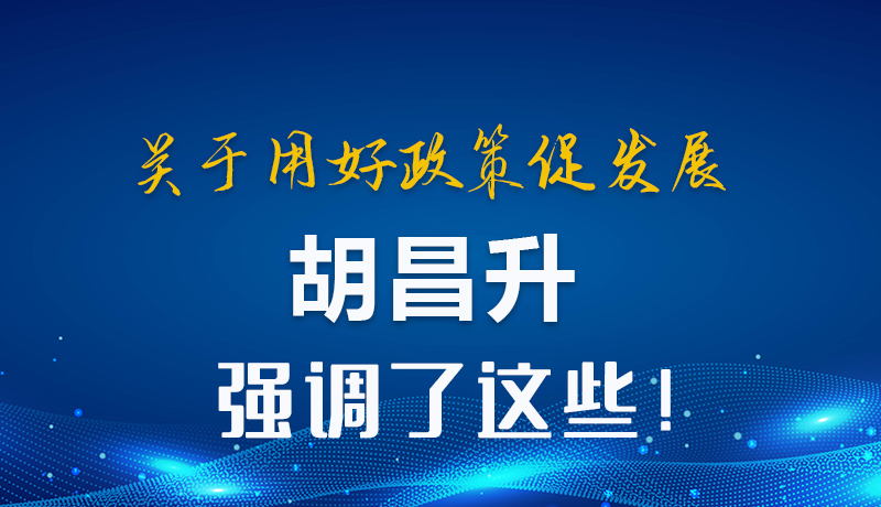 图解|关于用好政策促发展 胡昌升强调了这些！