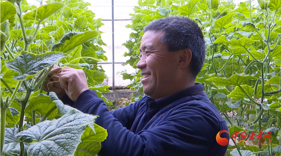 靖远银滩村：花式种植 尽显“最美春天”