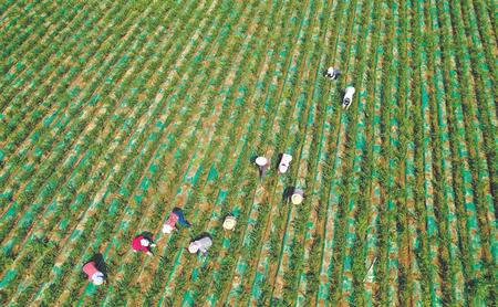 幸福敲开农家门——陇南徽县脱贫攻坚工作综述