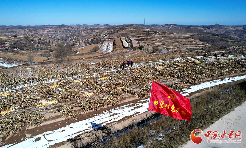 甘肃静宁开展“镰刀行动”助农抢收玉米