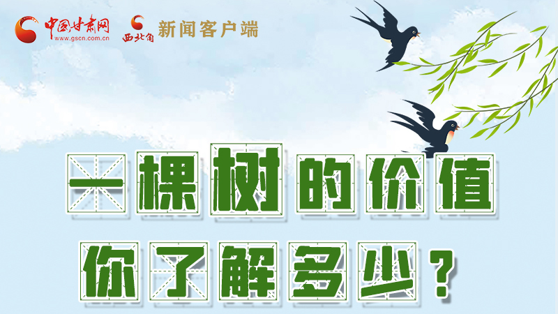 图解|一棵树的价值你了解多少?来看!