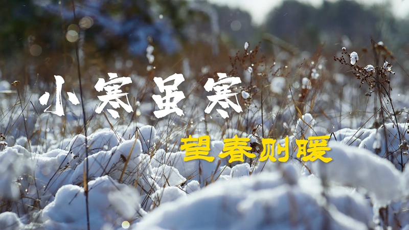 视频|小寒虽寒 望春则暖
