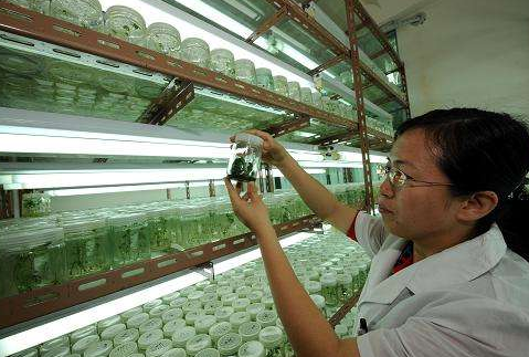 西北种质资源保存与创新利用中心开工