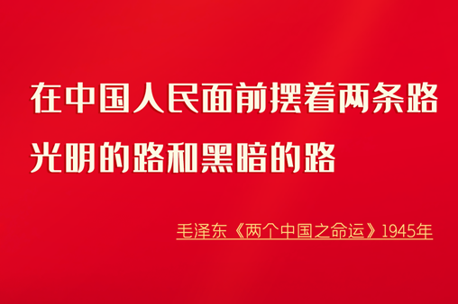 【百年风华 奋进甘肃】100条金句回顾党史100年系列海报（二）